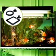 thumbnail image 5 of ShenMo 2 Piece Fish Feeding Ring, Aquarium Fish Feeding Ring, Fish Feed Safety Feeder with Suction Cups (Square Round), 5 of 5