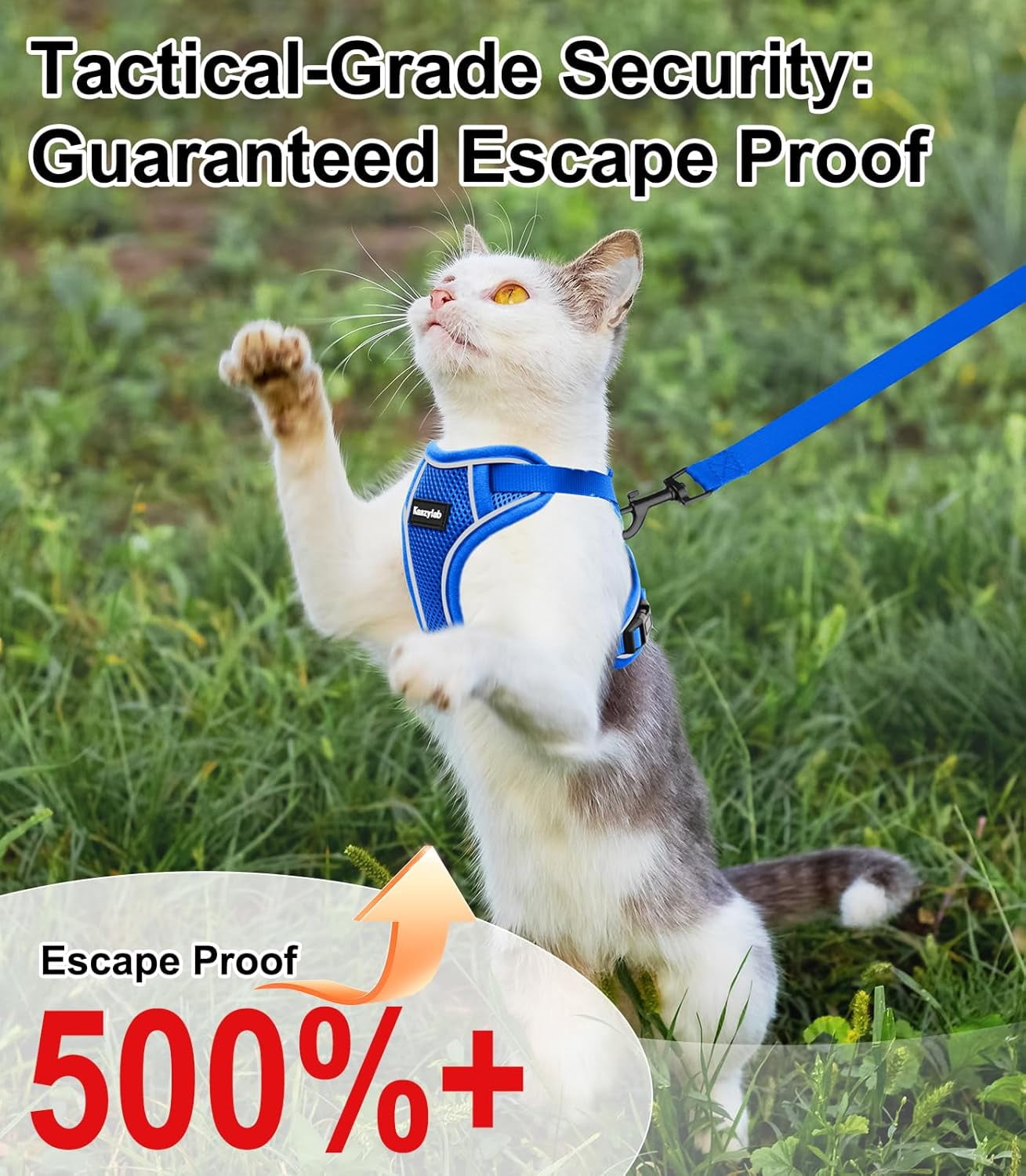 Cat Harness and Leash for Walking Escape Proof Soft Adjustable Cat Leash Breathable Comfortable Vest Easy to Wear Kitten Harness for Outdoor Travel (Blue, XS (4-6lb))
