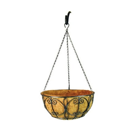 Border Concepts New Orleans Hanging Basket with