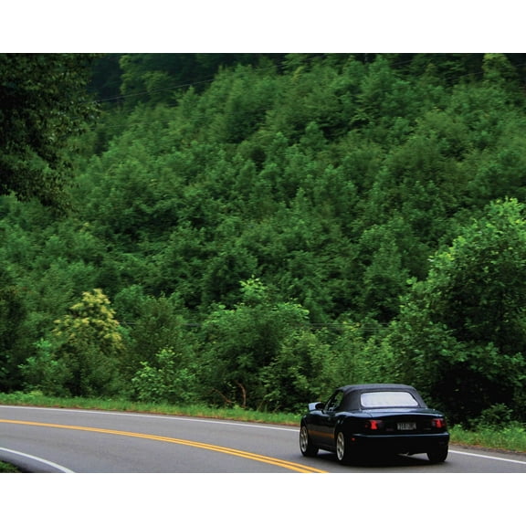 Shaffer Road Trip Wall Decal