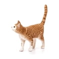 thumbnail image 4 of Juguete para gatos Schleich Farm World Realistic Lindo, naranja y blanco, 4 of 4