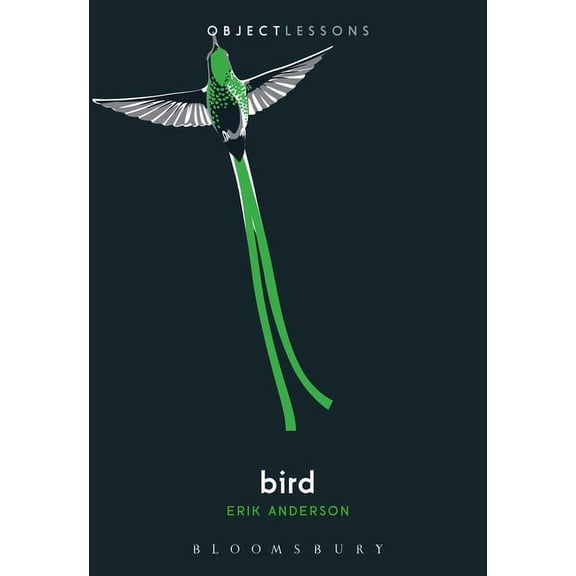 Object Lessons: Bird (Paperback)