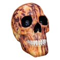 thumbnail image 1 of Estatua de calavera gótica, figura de cabeza de esqueleto, adorno para Halloween, bar, fiesta, club 14.5x12.5x17.5Amarillo, 1 of 9