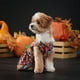 thumbnail image 5 of Mascota para perro gato mascota fiesta perro murciélago vestido conjunto colorido perro conjunto fiesta, 5 of 7