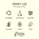 thumbnail image 4 of Lápiz de cejas Winky Lux Uni-Brow, de doble punta con cepillo, resistente al agua y ultrafino, tono universal para cejas de aspecto natural (marrón, rubio, gris pardo), 4 of 4