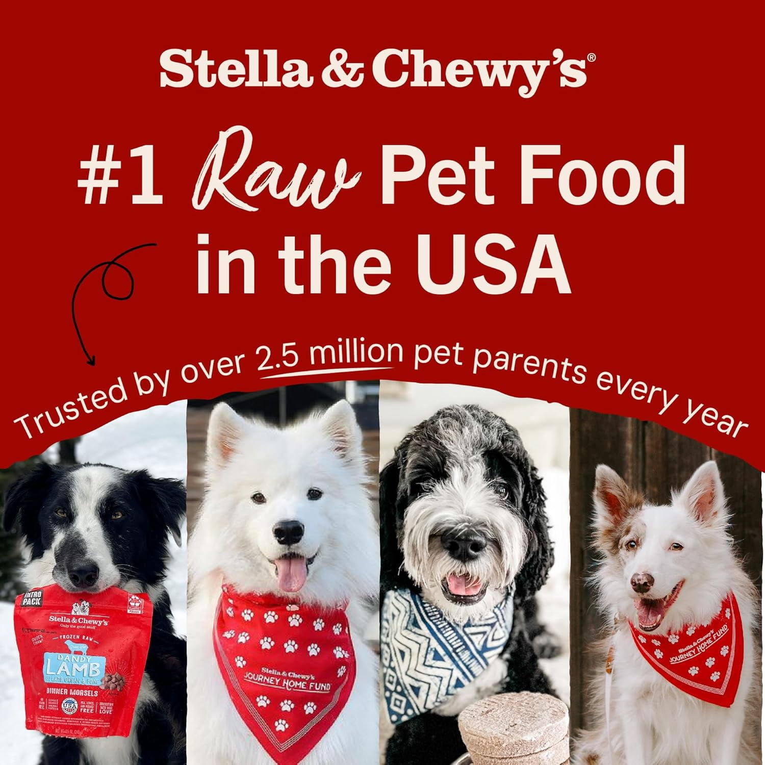 Stella & Chewy's Beef Heart Treats for Dogs - 3 Ounce Bag