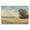 Serene Wheat Field Meadow, variant on Stupell Industries Quiet Path Through Wheat Black Framed Floater Canvas Wall Art, design by Petal Prints Design