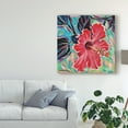 thumbnail image 3 of Trademark Fine Art 'Hawaiian Beauty I' Canvas Art by Carolee Vitaletti, 3 of 4