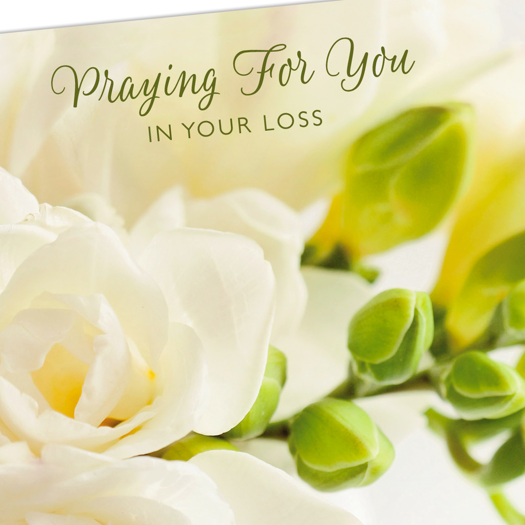 DaySpring Religious Sympathy Card (Cherished Memories and God's Faithful Love)