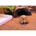 thumbnail image 4 of Reptile Mat Animal Lizard Tank Products Terrarium Bamboo Wooden, 4 of 5