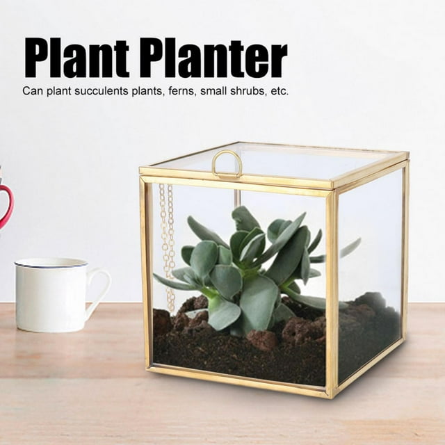 Unique Geometric Box Shape Plant Planter, Glass Planter, Home Landscape Decoration for Home