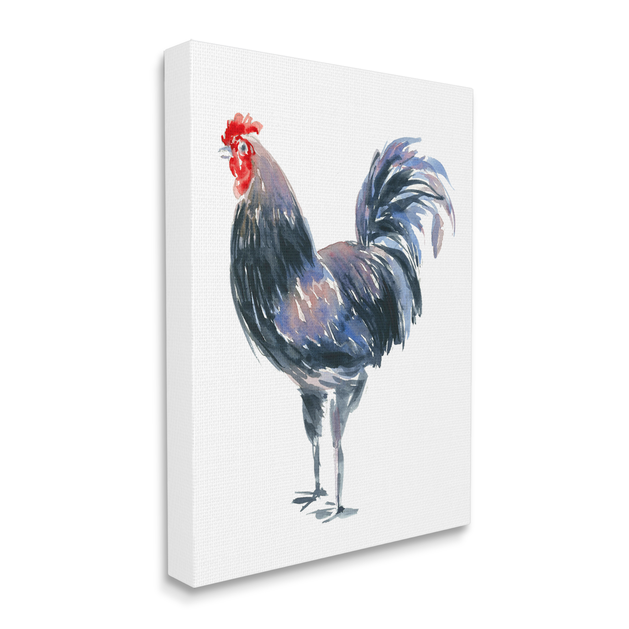 Stupell Industries Rooster Portrait on White Animals & Insects Painting Gallery Wrapped Canvas Print Wall Art, 16 x 20