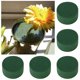 thumbnail image 3 of 20 Piezas Pasillo de Boda Manualidades de Bricolaje Arreglo Floral Espuma Verde Las Flores Absorbente de Agua para Hogar Y JardíN Ladrillo Redondo para Mantener Fresco, 3 of 5