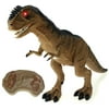 Dinosaur Planet Remote Controlled Battery Operated RC Toy Allosaurus Figure w/Shaking Head, Walking Movement, Light Up Eyes & Sounds