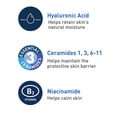 thumbnail image 3 of Limpiador facial CeraVe, gel de limpieza facial diario espumoso, 473 ml, aceite, 3 of 8