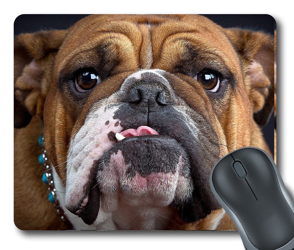 bulldog mouse pad