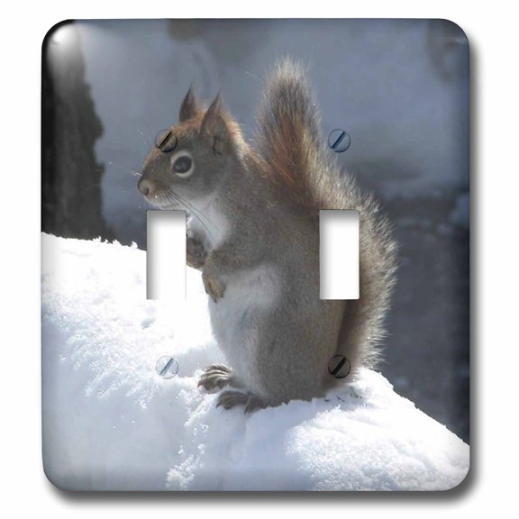 3dRose, Red Squirrel in the Snow, double toggle switch