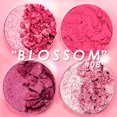 thumbnail image 3 of Cuarteto de Sombras para Ojos Intensity Glam Pink Up fucsia, 3 of 12