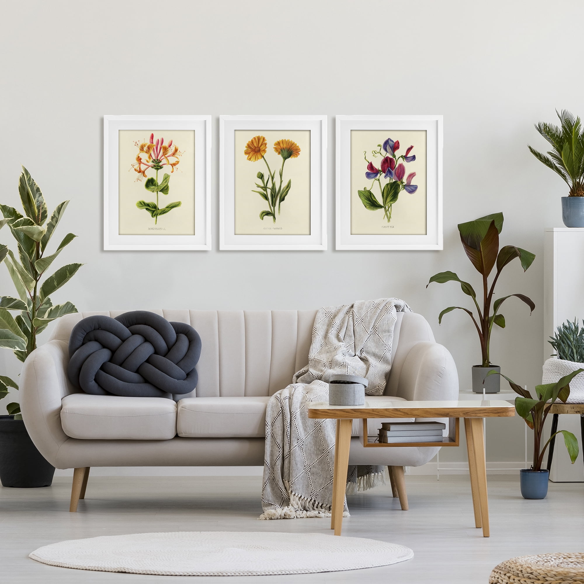 Stupell Industries Flowering Plants Vintage Illustration 3 Piece White Framed Print Under Glass Set, design by Connie Resch