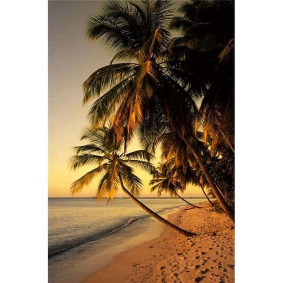 Beach at Sunset Trinidad Caribbean Poster Print by Michael Defreitas - 18 x 27 in.