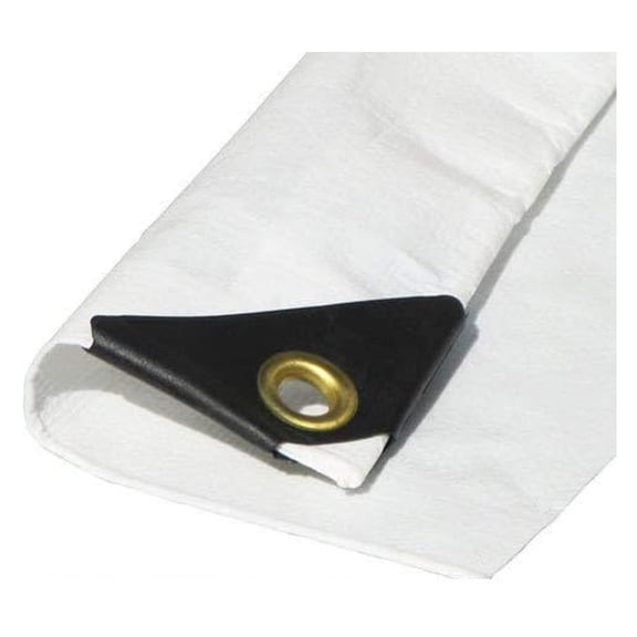 20'X30' 12 mil White Tarp Extra Heavy Duty 3 Ply Reinforced Canopy 6 oz (Approximate 19'.6 x 29'.6)