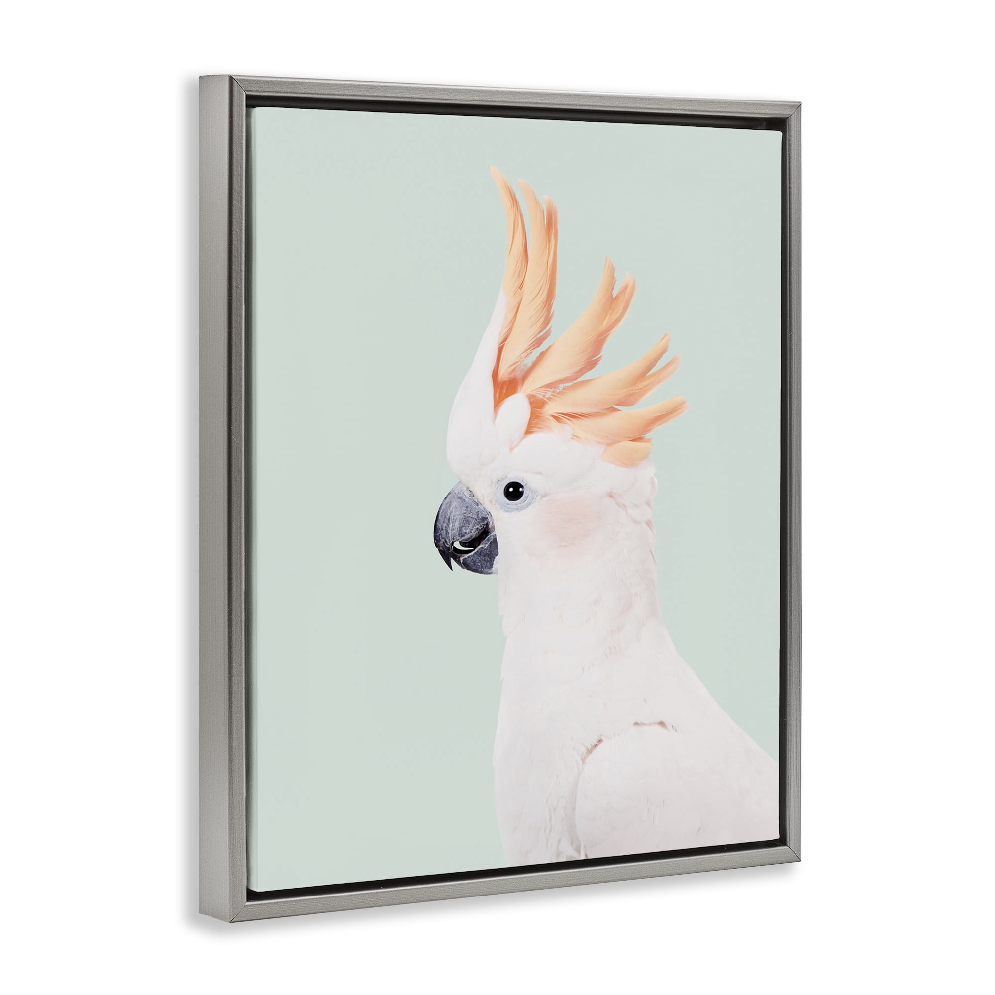 Stupell Industries White Cockatoo Portrait Animals Painting Gray Floater Framed Canvas Art Print Wall Art, 25 x 31