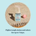 thumbnail image 3 of Antimanchas y olores para mascotas MRS. MEYER'S CLEAN DAY 480 ml, 3 of 8