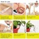 thumbnail image 2 of Aspersores automáticos para plantas, juego de 8 dispensadores de agua para plantas de interior, botella de riego por goteo, dispositivo de juego de puntas de riego para plantas y flores TUNC Sencillez, 2 of 5