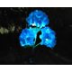 thumbnail image 2 of Luces solares decorativas para exteriores - 1 paquete de luces de estaca de jardín solar de hortensia a prueba de agua, 11 Feliz Sencillez, 2 of 4