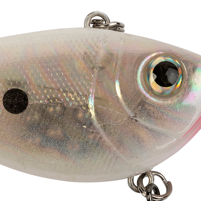 Shakespeare Silver Ghost Lure Sea Rig – The Tackle Shed