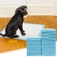 thumbnail image 1 of Xihbxyly Empapadores de Entrenamiento para Mascotas, Ultraabsorbentes y a Prueba de Fugas, Suaves y Cómodos, Desechables para Cachorros y Perros Mayores, Ideales para Uso En Interiores y Exteriores,, 1 of 7