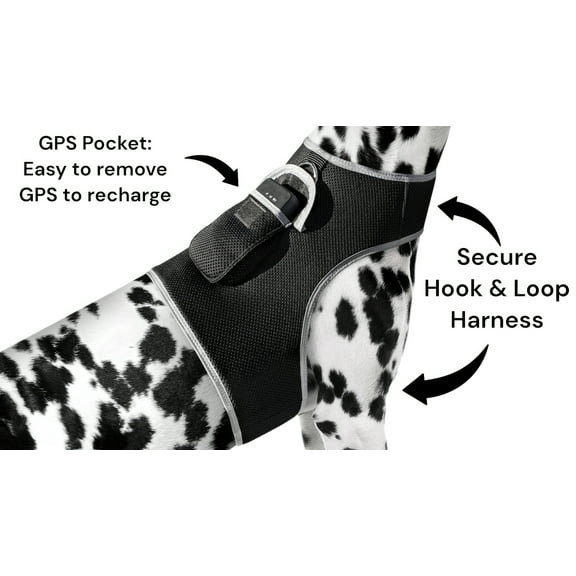 Wireless GPS Dog Tracking Collar Device with Realtime Security App Size:S