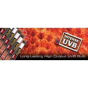 Exo Terra Reptile Fluorescent Bulb - UVB 200 (36 Watt, 48)
