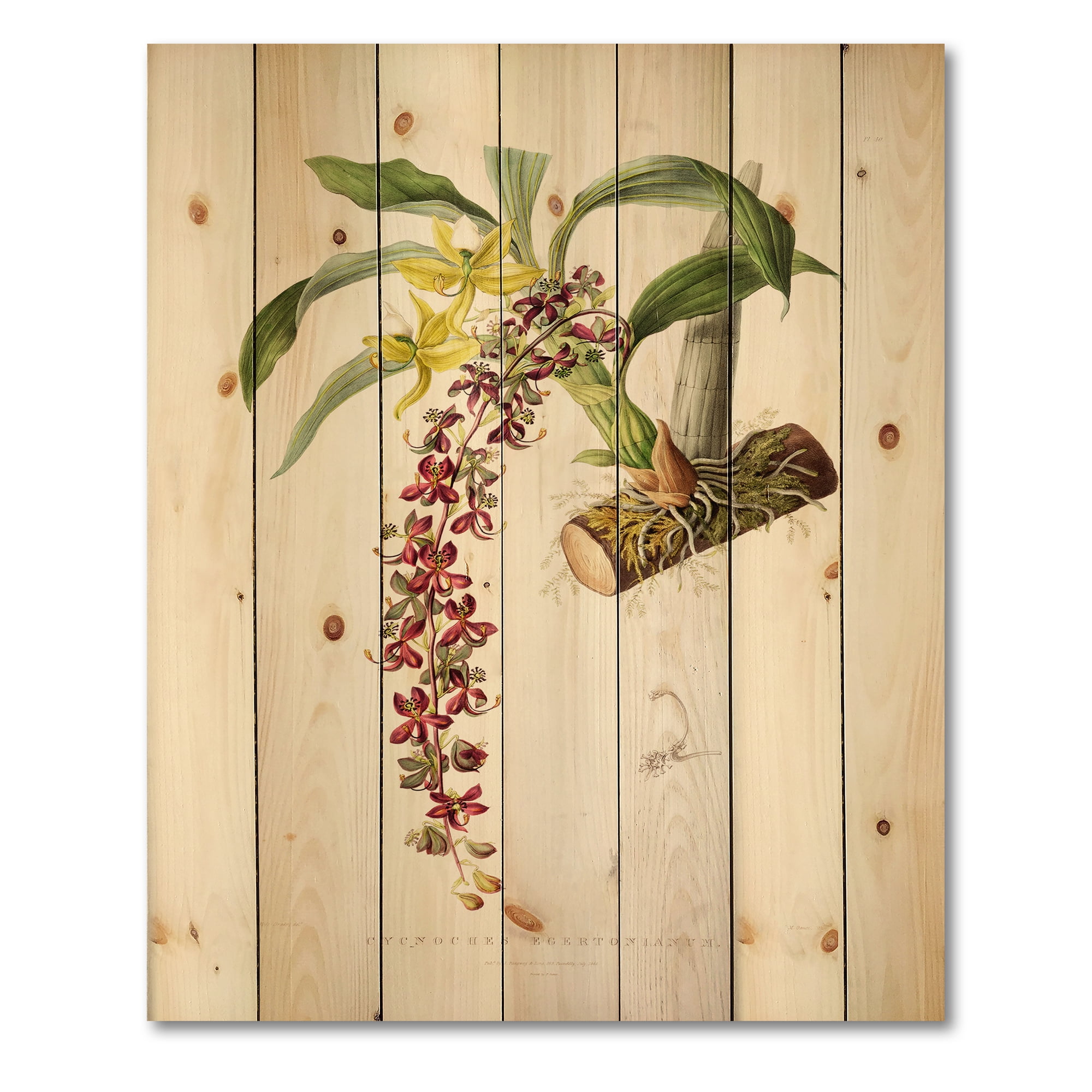 Designart 'Ancient Flower II' Traditional Print on Natural Pine Wood