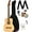 Redondo Mini - Natural, variant on Fender Redondo Player Acoustic-Electric Guitar - Bronze Satin w/ Gig Bag
