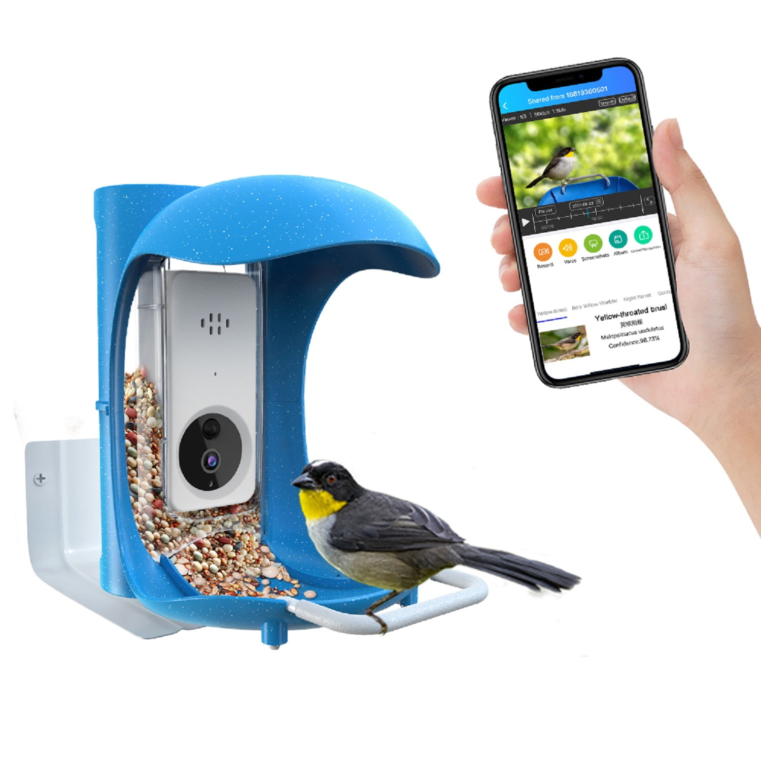 Bird Detective Smart Bird Feeder Camera [2022 Pro, APP Connection