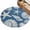 Blue, variant on Entryway Rug 2'x3', Light Blue Starfish Coastal Kitchen Runner Rugs Non-Slip Carpet Mats, Shell Summer Beach Nautical Bedside Rugs Runners Washable Floor Carpet for Bathroom Laundry Room