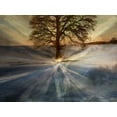 thumbnail image 1 of Tree Of Truth - CANVAS OR WALL ART PRINT, 1 of 1