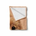 thumbnail image 2 of Animal Soft Flannel Fleece Throw Blanket, Pomerian Dog with Vintage Retro and Peach Colored Backdrop Poster Artwork, Cozy Plush for Indoor and Outdoor Use, 60" x 80", Multicolor, by Ambesonne, 2 of 6