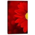 thumbnail image 2 of Red Flower with Lit up Background - Large Floral Canvas Artwork, 2 of 3