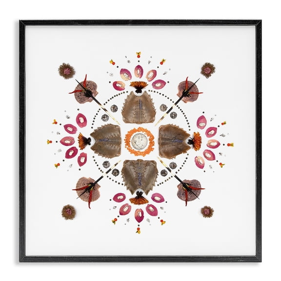 Stupell Industries Eclectic Symmetrical Nautical Collection Black Framed Giclee Art, 12 x 12, by Beth Adoette