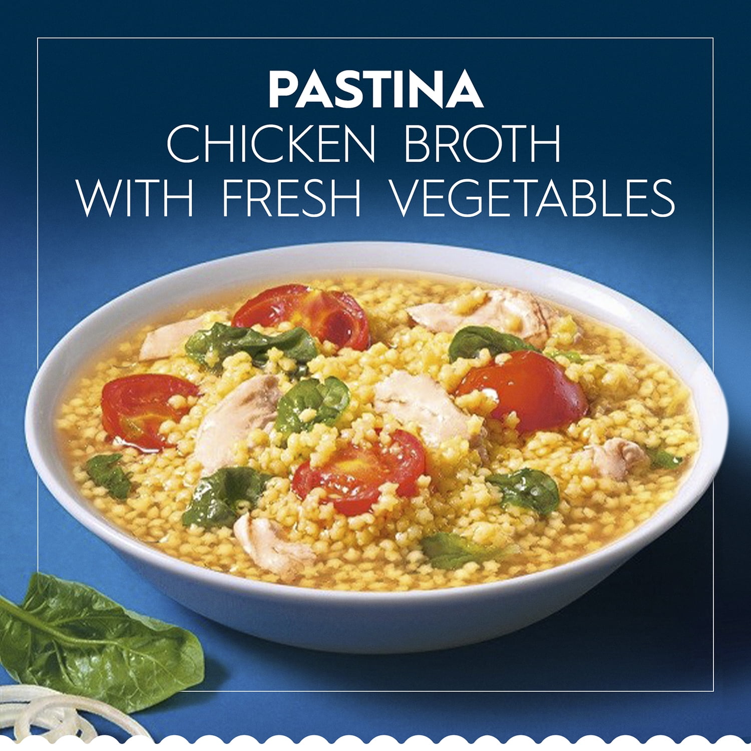 Barilla® Pastina Pasta 12 oz. Box