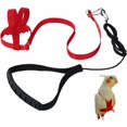 thumbnail image 1 of Bracelet Élastique Anti-Morsure Réglable en Laisse de Perroquet pour Oiseaux Perroquets Cacatoès Aras Fonepro Rouge, 1 of 5