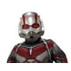 Marvel Costume d'Enfant Ant-Man et la Guêpe 1/2 Masque – image 1 sur 1
