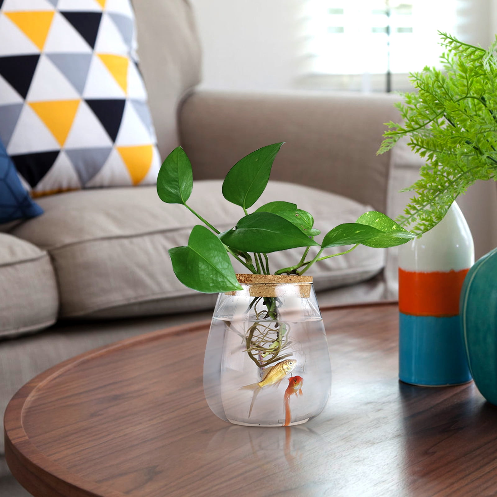 Hydroponic Plants Glass Bottle Durable Plant Terrarium DIY