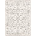 thumbnail image 3 of BERTHMEER 5'x7' Area Rugs for Living Room Rug for Bedroom Kitchen Non Slip Washable Vintage Gray Carpets Oriental Distressed Office Dorm Dining Room Traditional Distressed Throw Rugs, 3 of 7