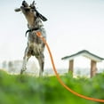 thumbnail image 7 of Long Dog Leash 30ft 50ft Reflective Training Heavy Duty Rope Dog Leash for Small Medium Large Dogs, 7 of 7