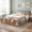Gray, variant on Queen Size Modern Upholstered Platform Bed with Dual Built-in Cat Caves and LED Lighting, Pet-Friendly Bed Frame with Scratching Resistant Fabric, No Box Spring Needed for Master Bedroom, Beige
