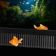 thumbnail image 4 of Peine de desbordamiento para acuario, acrílico, duradero, hermoso flujo, peine para acuario, peine para vertedero de acuario, ultra sensible, 4 of 9