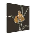 thumbnail image 2 of Trademark Fine Art 'Iris on Black VI' Canvas Art by Chris Paschke, 2 of 3